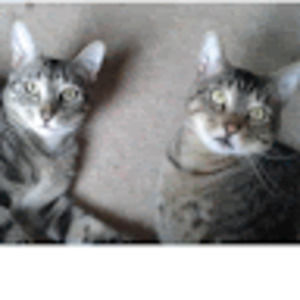 Meet your Posher, Carla